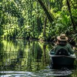 Turismo Sustentável na Amazônia Ganha Espaço na Agenda Política e Pode Abrir Novas Oportunidades para Viajantes Brasileiros