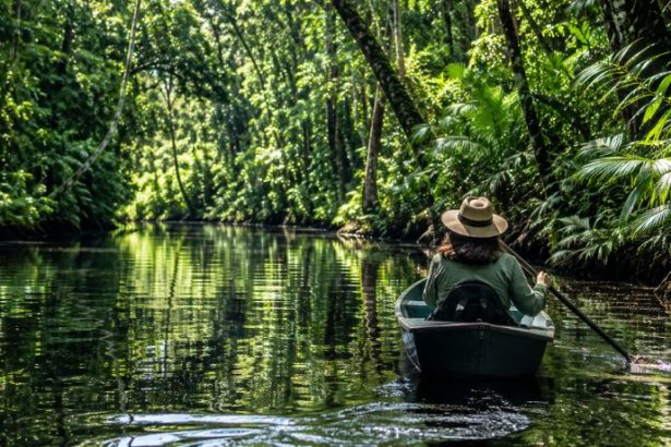 Turismo Sustentável na Amazônia Ganha Espaço na Agenda Política e Pode Abrir Novas Oportunidades para Viajantes Brasileiros