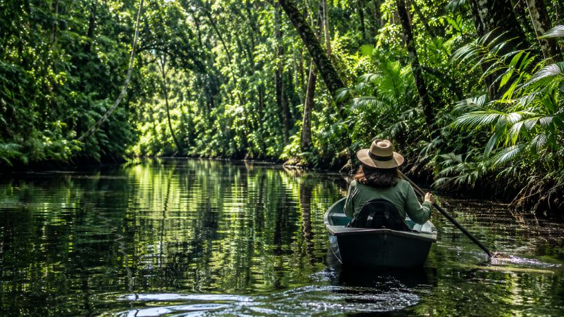 Turismo Sustentável na Amazônia Ganha Espaço na Agenda Política e Pode Abrir Novas Oportunidades para Viajantes Brasileiros